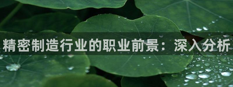 彩神网官网登录：精密制造行业的职业前景：深入分析