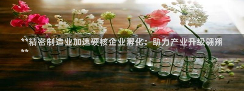 彩神v彩搜狗：**精密制造业加速硬核企业孵化：助力产业升级翱翔
**